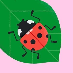 Meet your Posher, Kattara